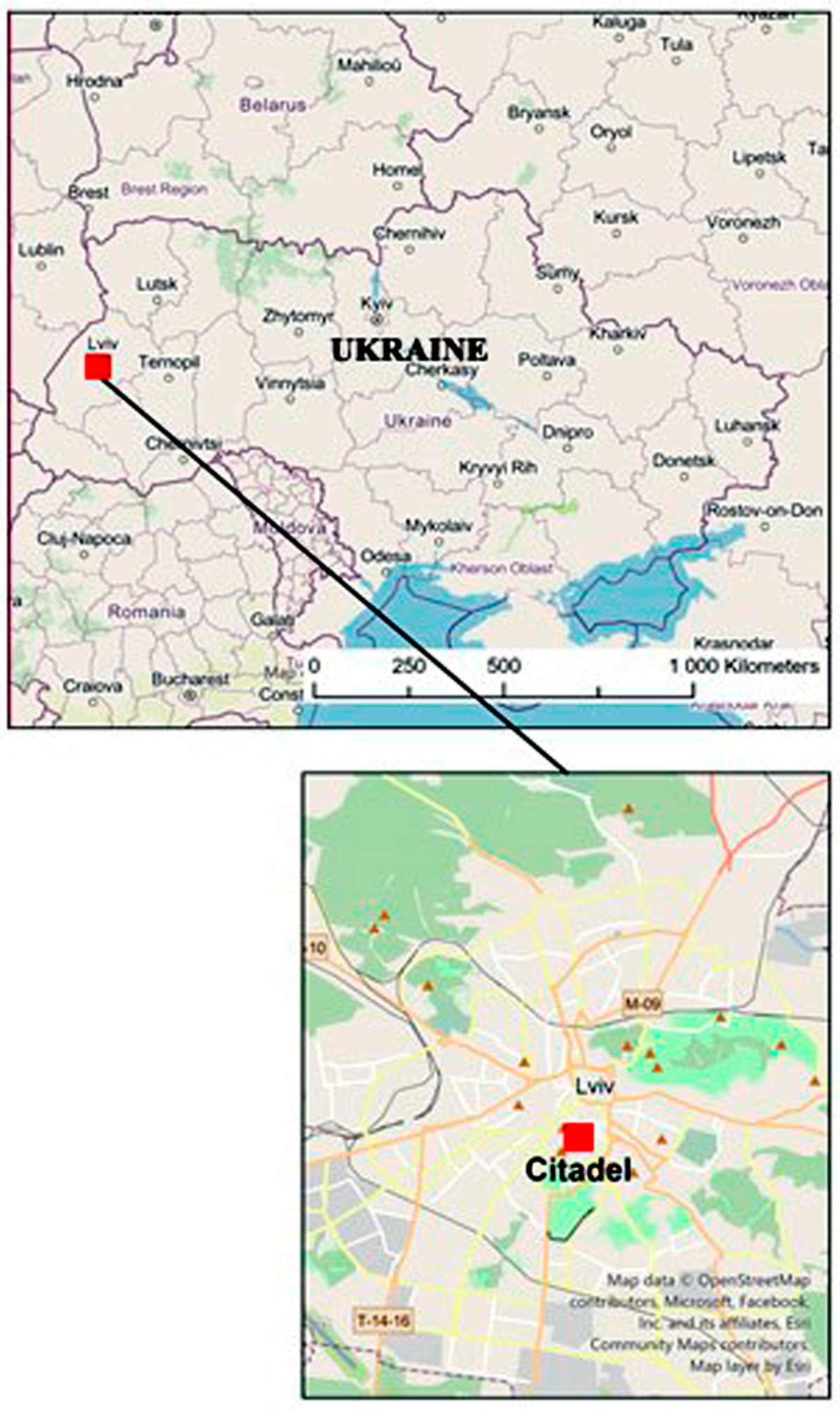 Land 13 00923 g002 Land 13 00923 g002