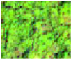 Land 13 01794 i002