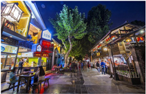 Land 13 01919 i003 Land 13 01919 i003