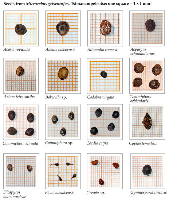 Land 13 01971 g0a1a Land 13 01971 g0a1a