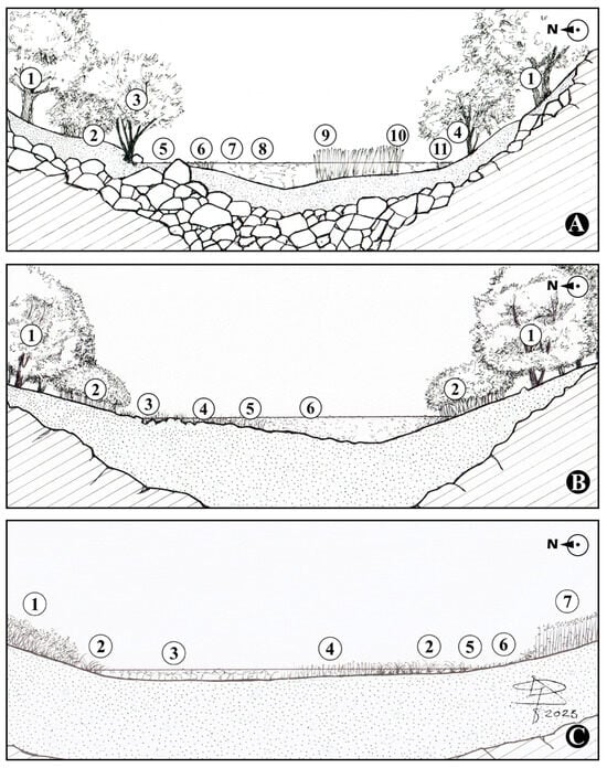 Land 13 02009 g006