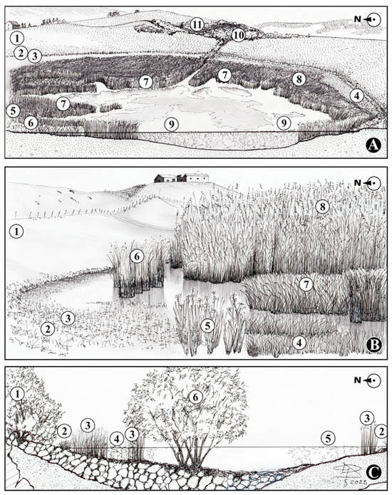 Land 13 02009 g007