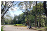 Land 14 00206 i001