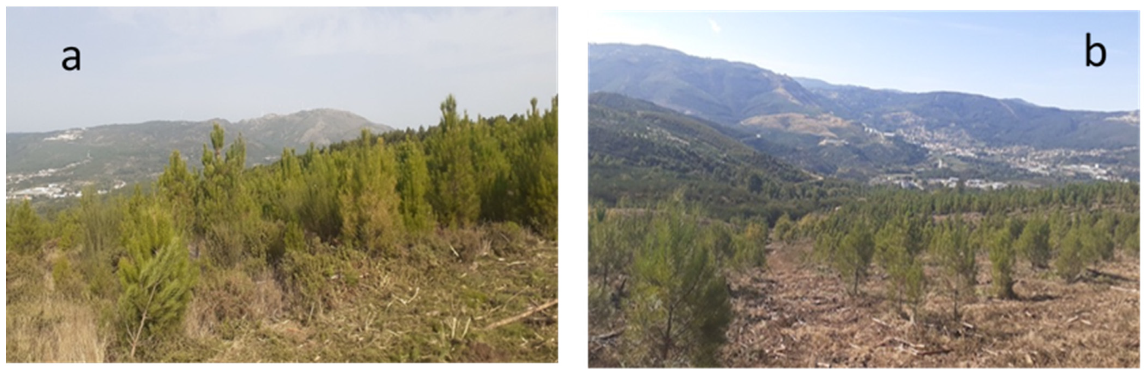 Land 14 00493 g002 Land 14 00493 g002