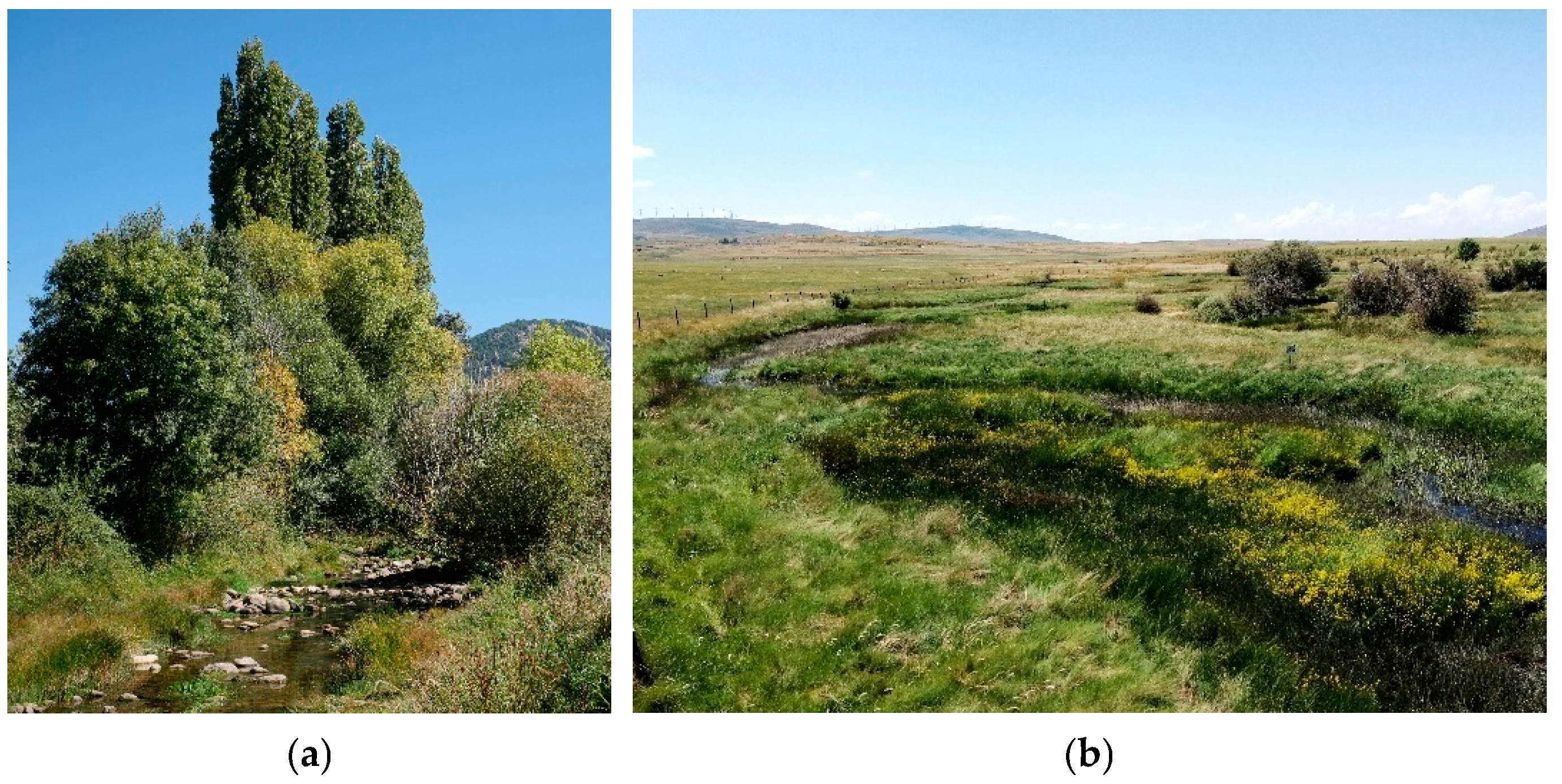 Land 14 00521 g001 Land 14 00521 g001