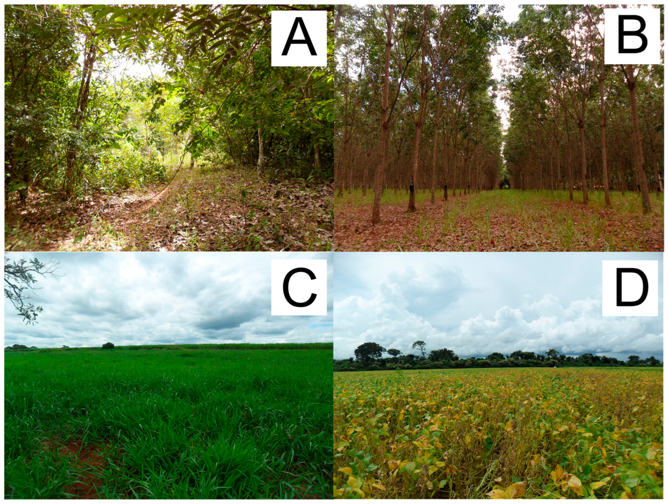 Land 14 00781 g001 Land 14 00781 g001