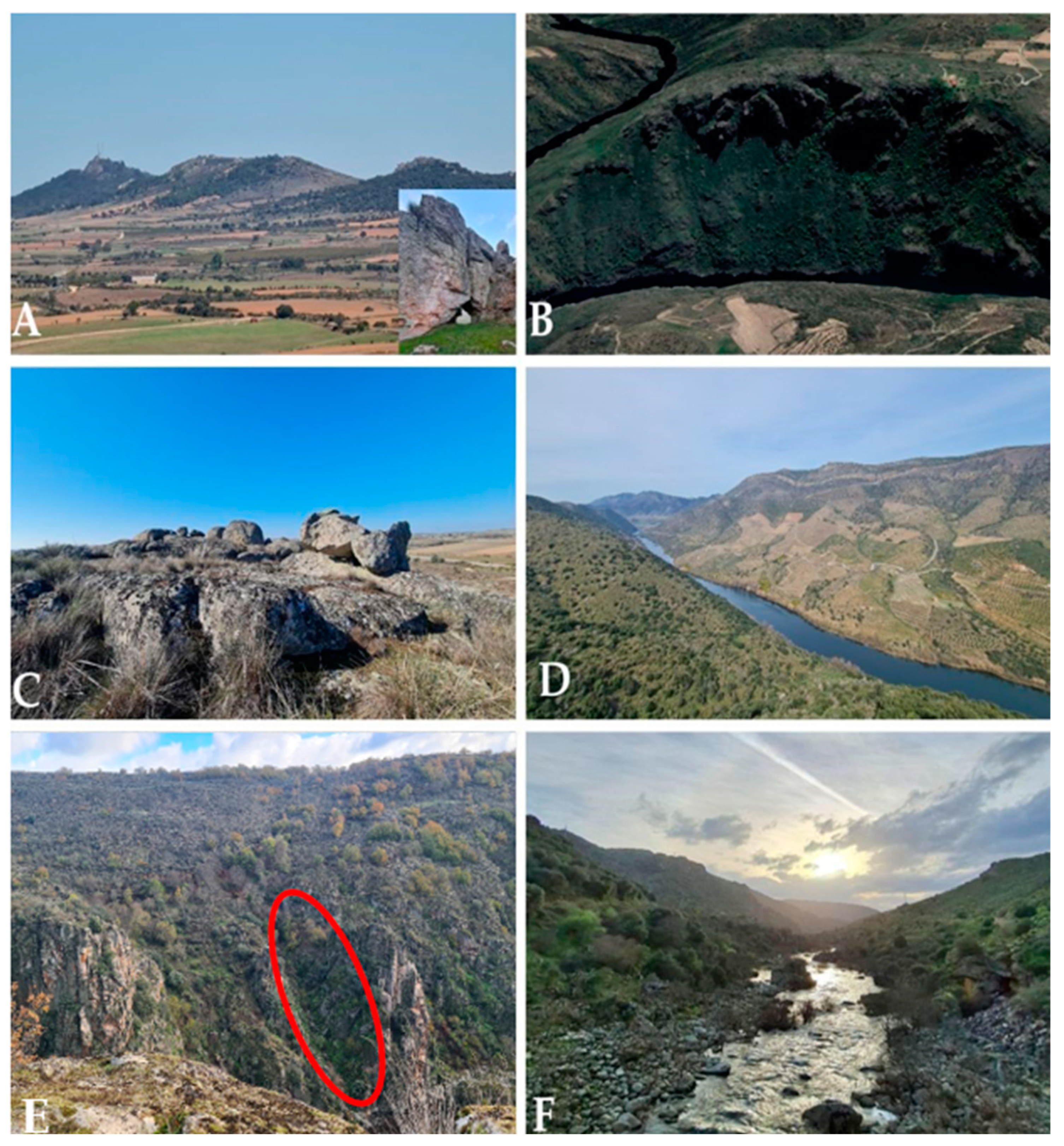 Land 14 00885 g009 Land 14 00885 g009