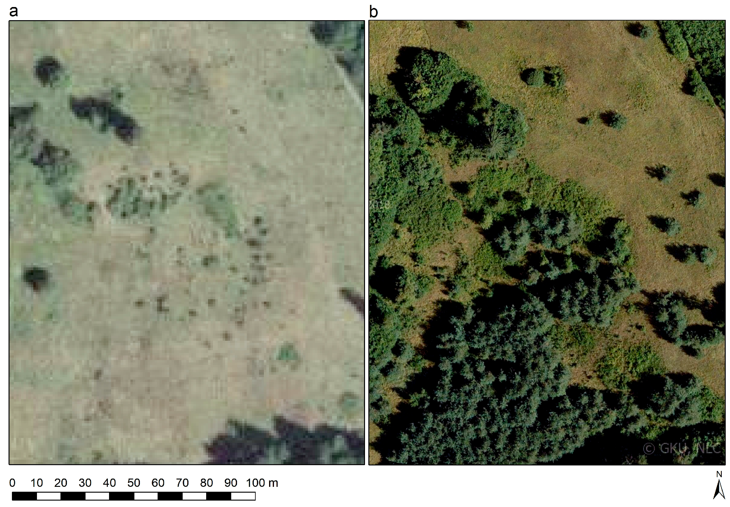 Land 14 01370 g006 Land 14 01370 g006