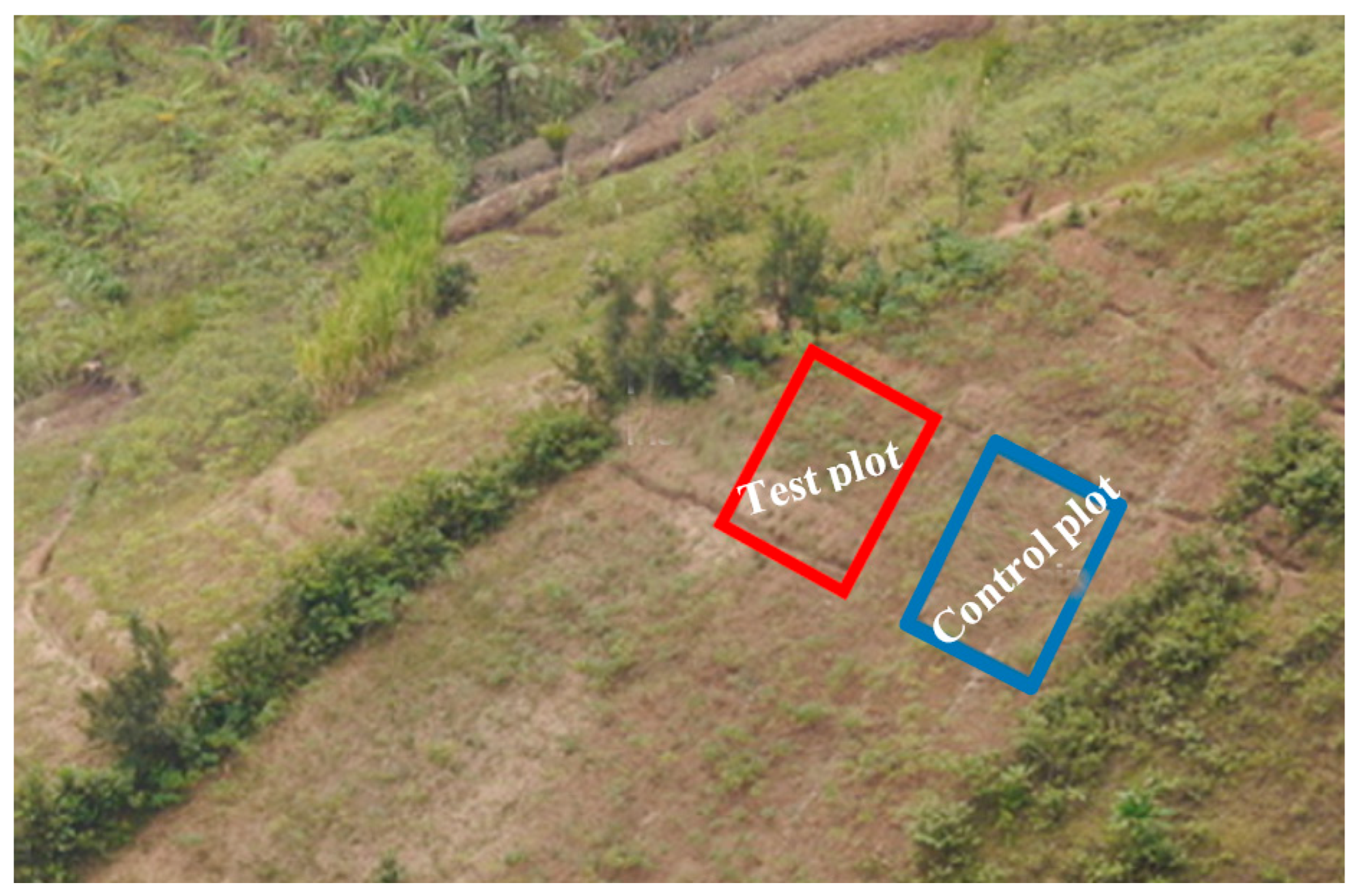 Land 14 01419 g002