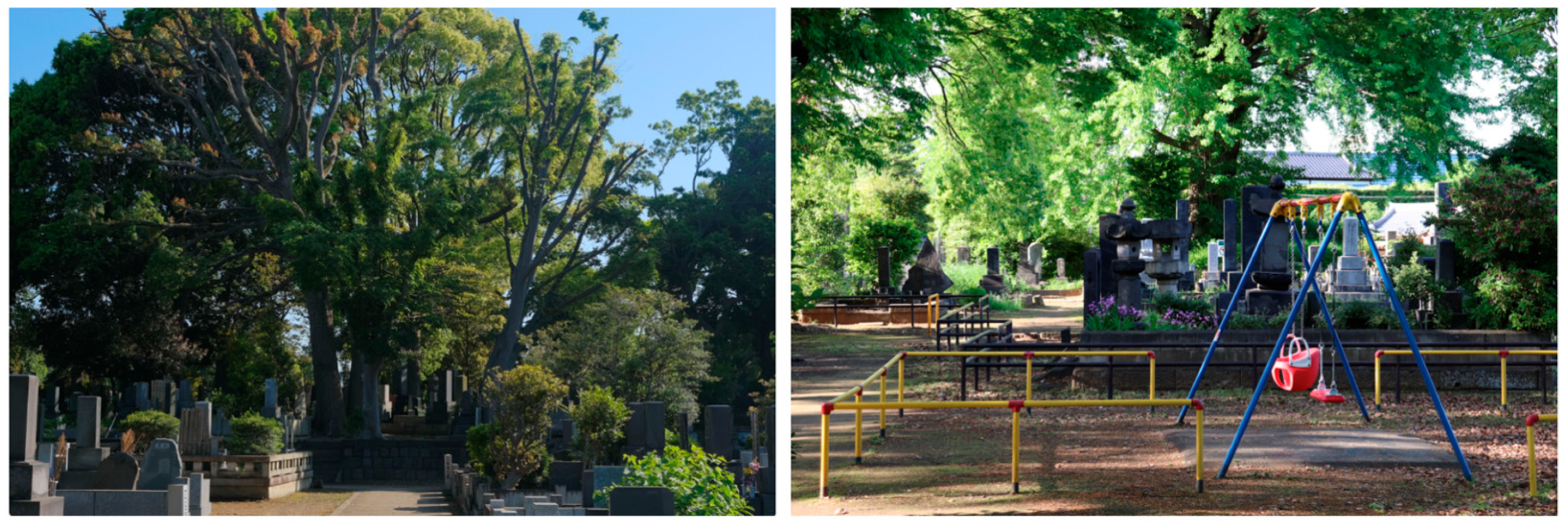 Land 14 01638 g001 Land 14 01638 g001