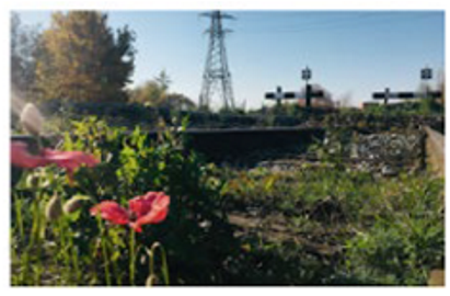 Land 14 01649 i003 Land 14 01649 i003