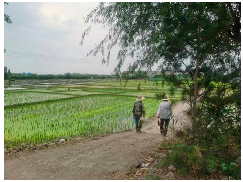 Land 14 01676 i005 Land 14 01676 i005