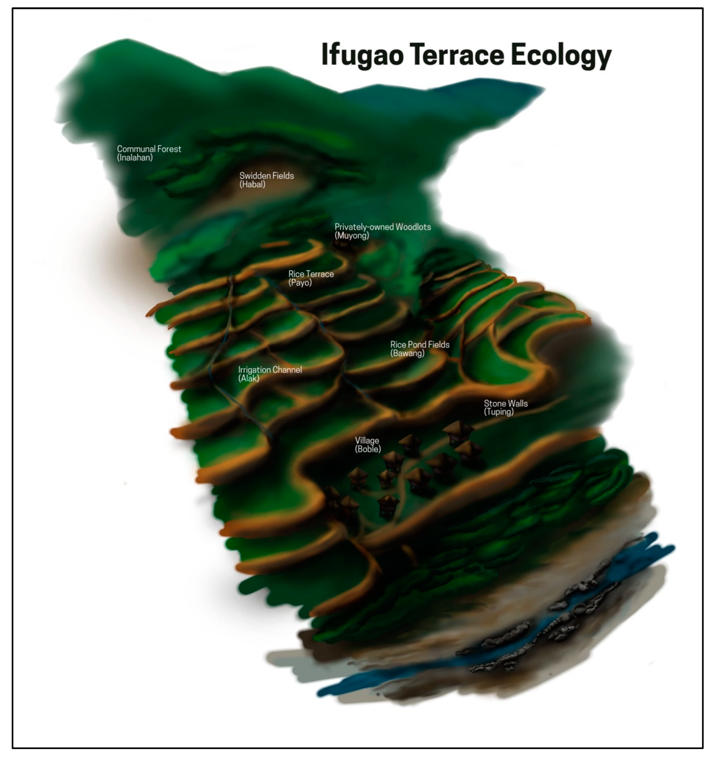 Land 14 01721 g004 Land 14 01721 g004