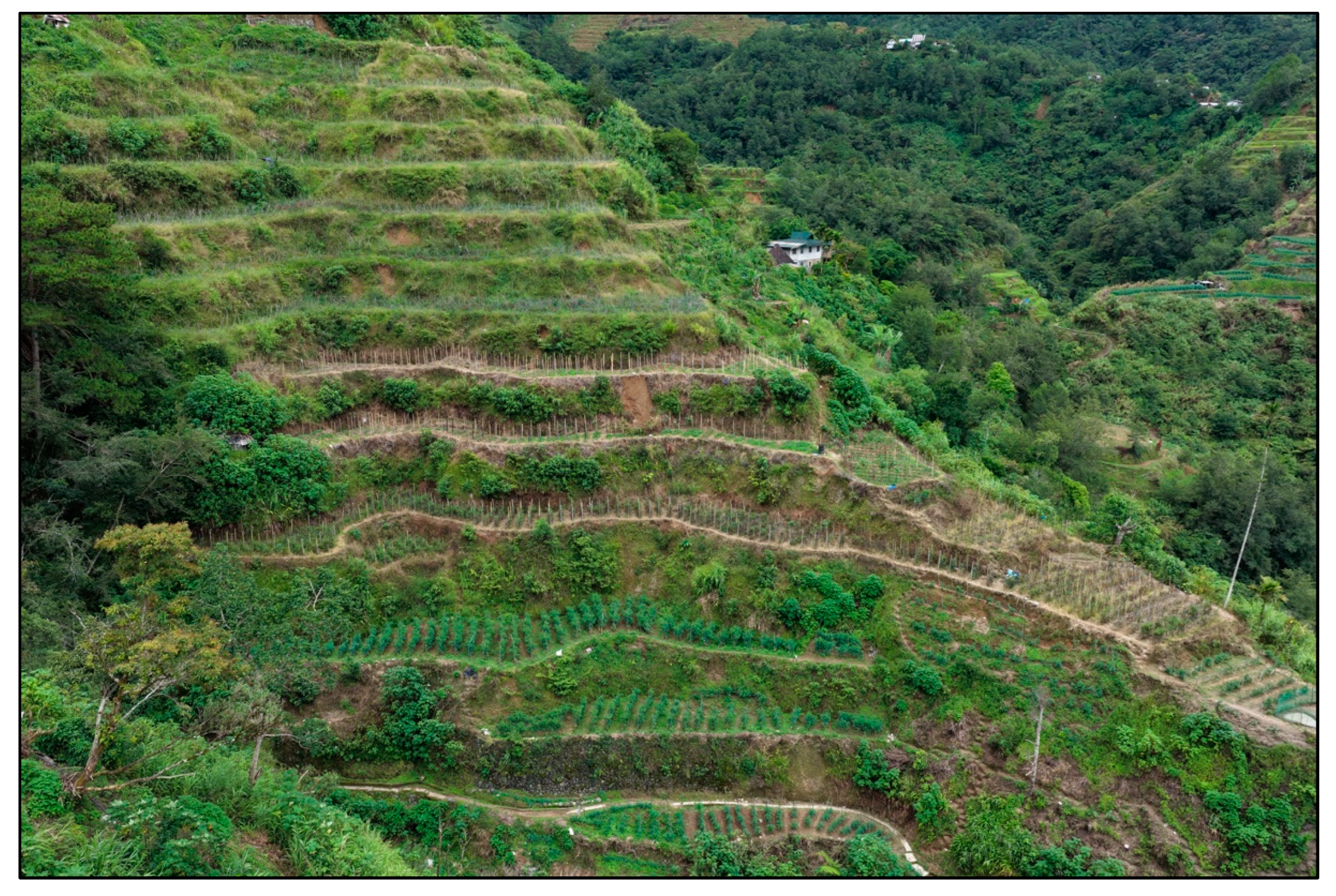 Land 14 01721 g007 Land 14 01721 g007