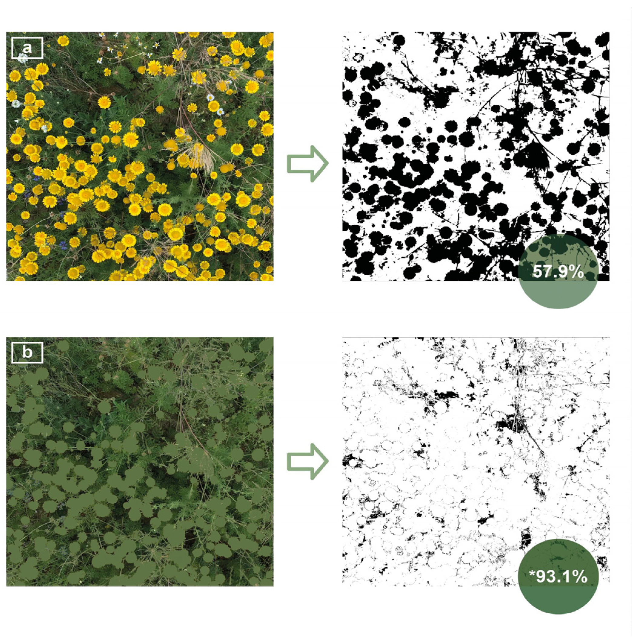 Land 14 01746 g005 Land 14 01746 g005