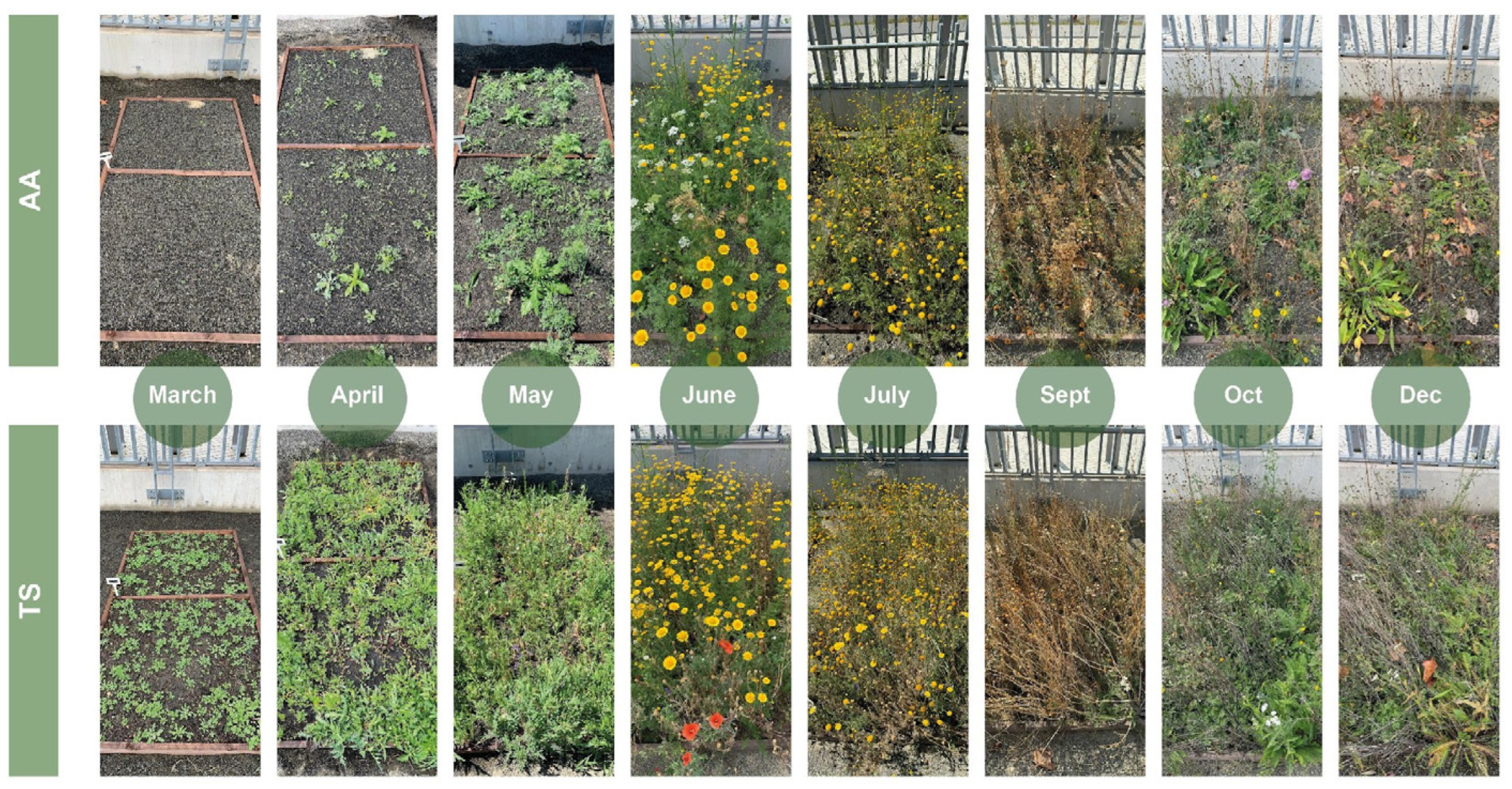 Land 14 01746 g013 Land 14 01746 g013