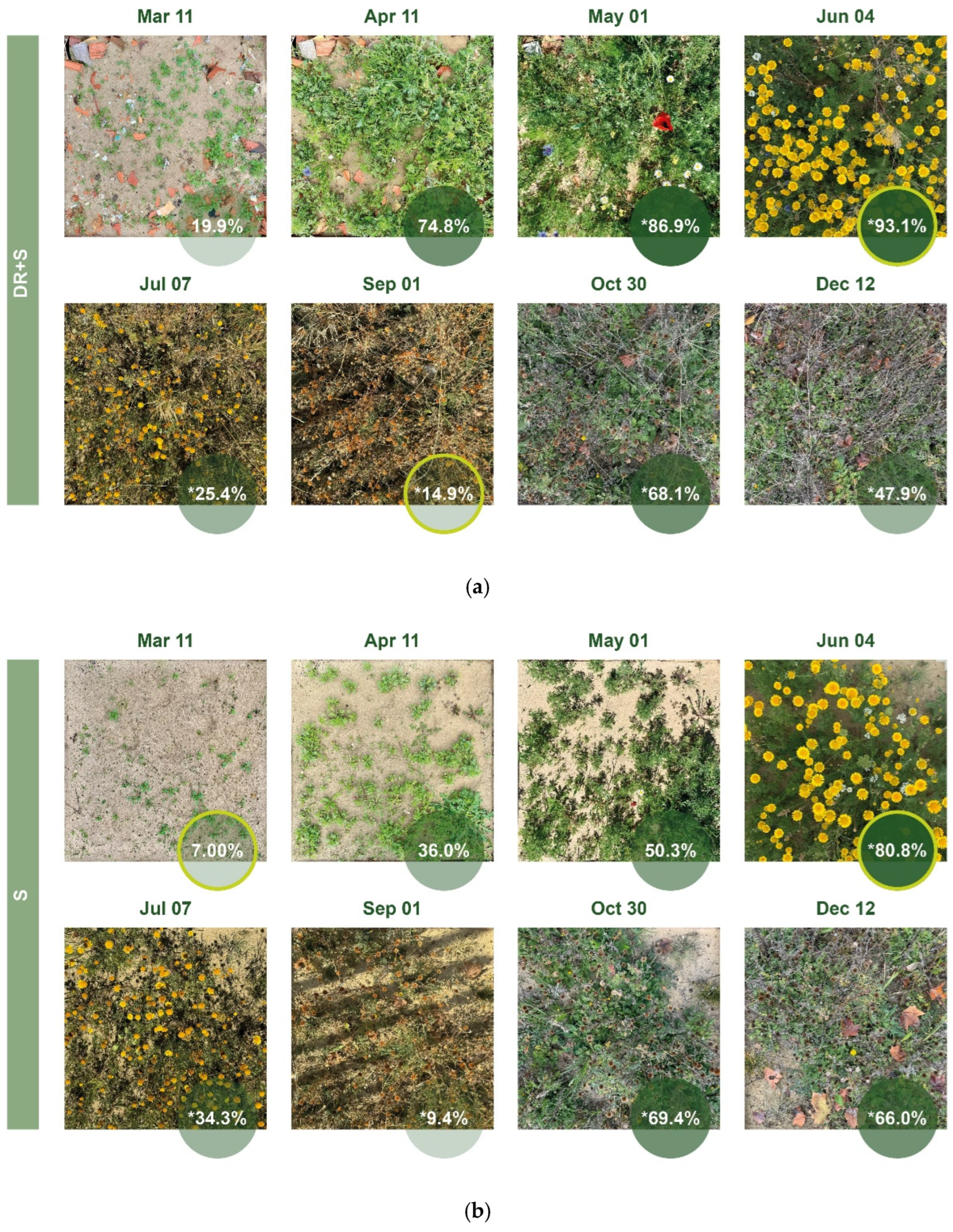 Land 14 01746 g018 Land 14 01746 g018