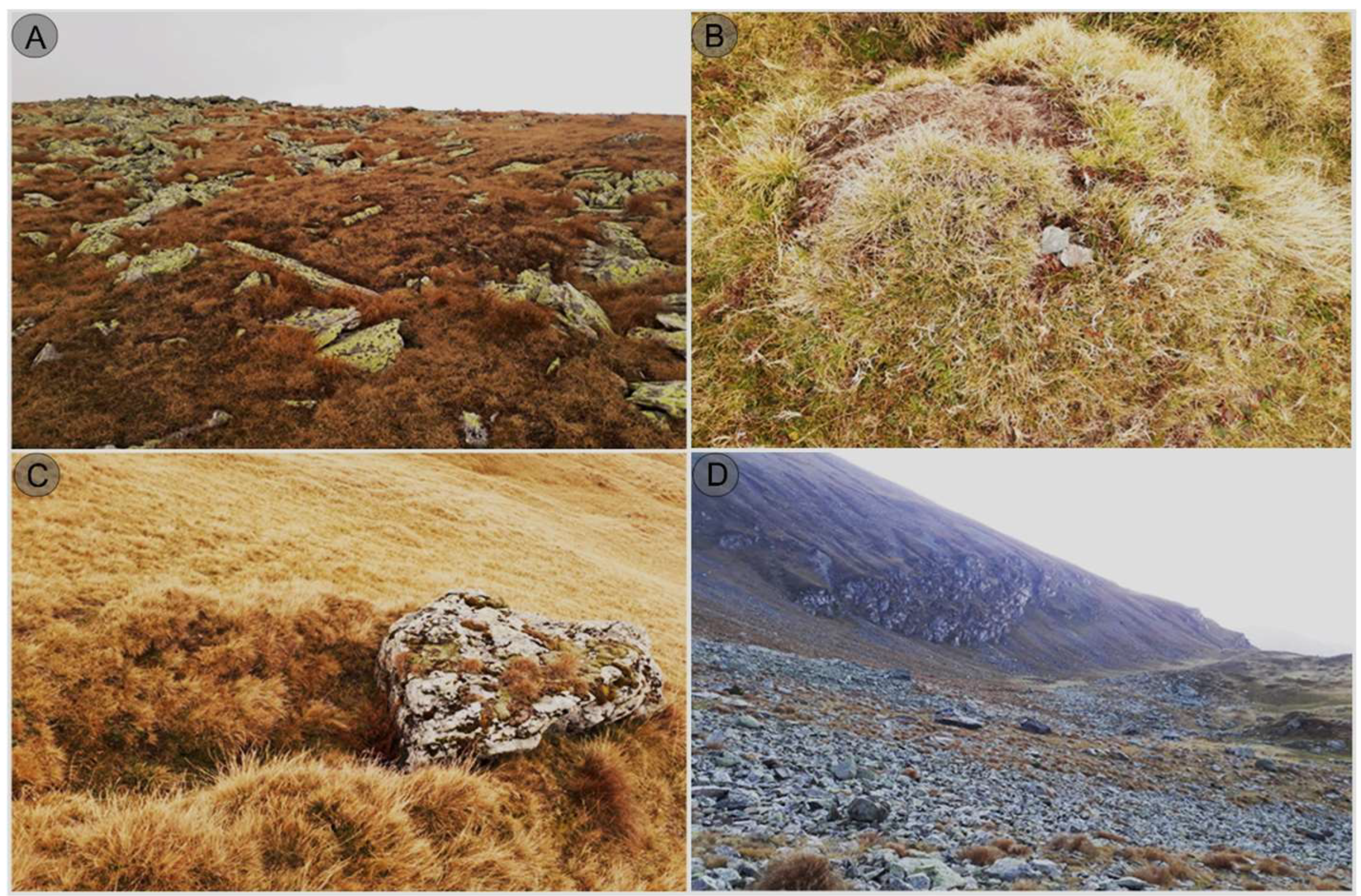 Land 14 01756 g002 Land 14 01756 g002