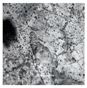 Land 14 01897 i004 Land 14 01897 i004