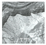 Land 14 01897 i005 Land 14 01897 i005