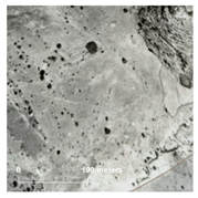 Land 14 01897 i006 Land 14 01897 i006