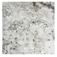 Land 14 01897 i009 Land 14 01897 i009