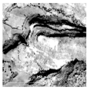 Land 14 01897 i025 Land 14 01897 i025