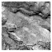 Land 14 01897 i026 Land 14 01897 i026