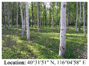 Land 14 01942 i001 Land 14 01942 i001