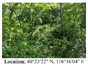 Land 14 01942 i002 Land 14 01942 i002