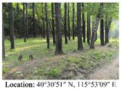 Land 14 01942 i007 Land 14 01942 i007