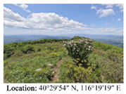 Land 14 01942 i009 Land 14 01942 i009