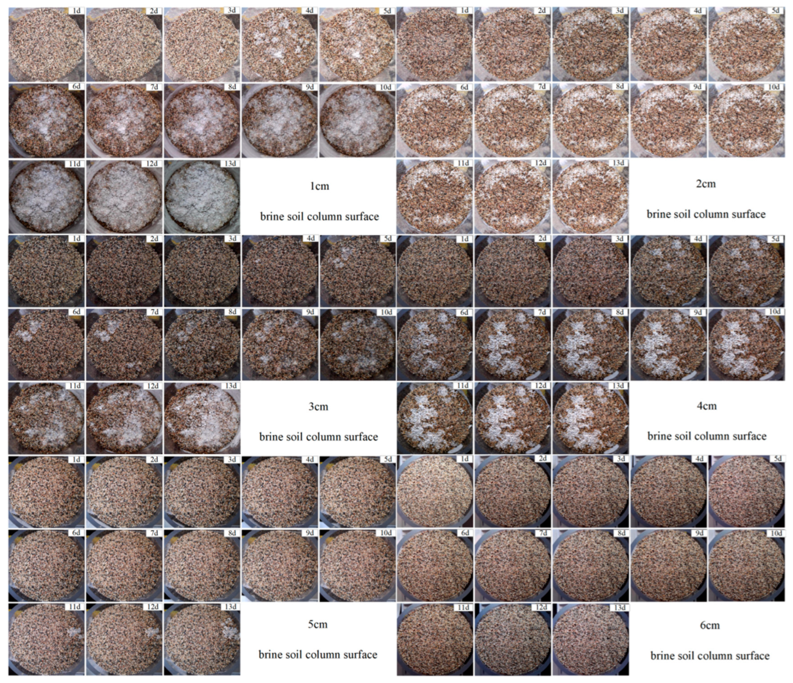 Land 14 02028 g006 Land 14 02028 g006