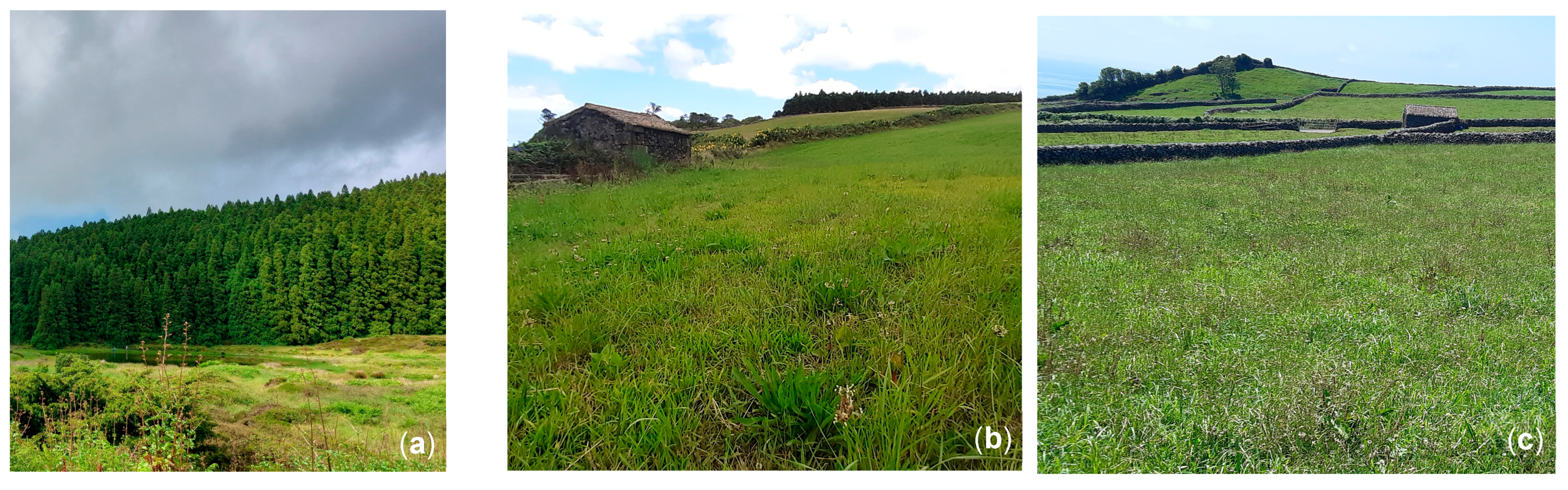 Land 14 02029 g001 Land 14 02029 g001