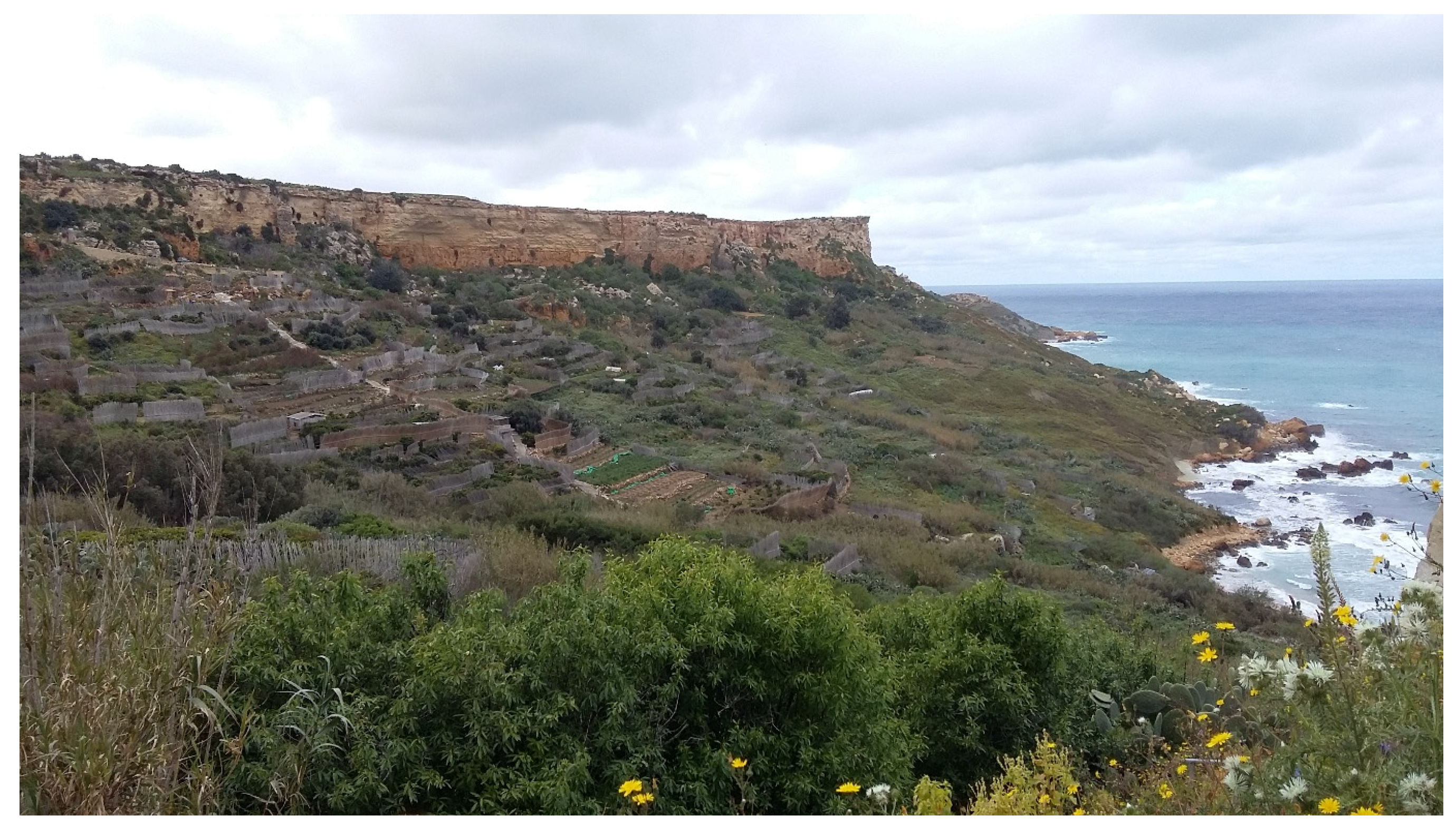 Land 14 02114 g002 Land 14 02114 g002