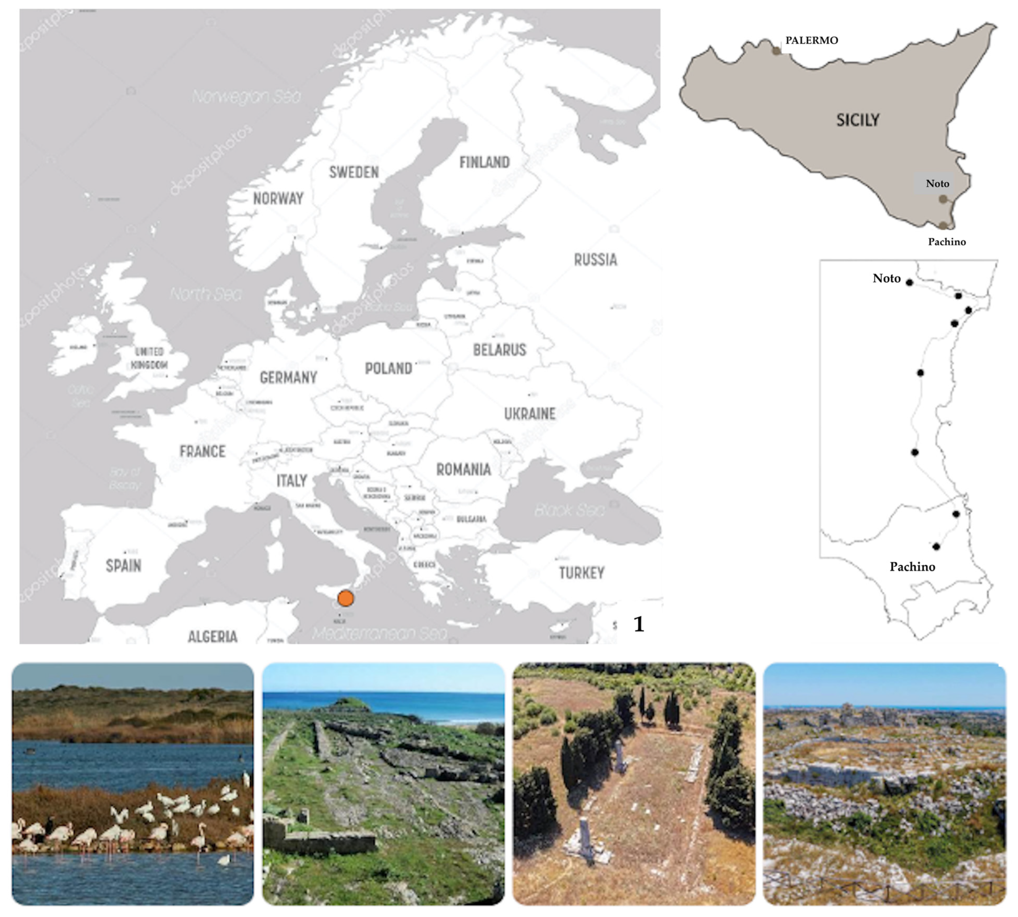 Land 14 02116 g001 Land 14 02116 g001