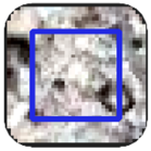 Land 14 02120 i001 Land 14 02120 i001