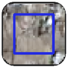 Land 14 02120 i005 Land 14 02120 i005