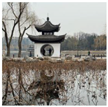 Land 14 02155 i002 Land 14 02155 i002