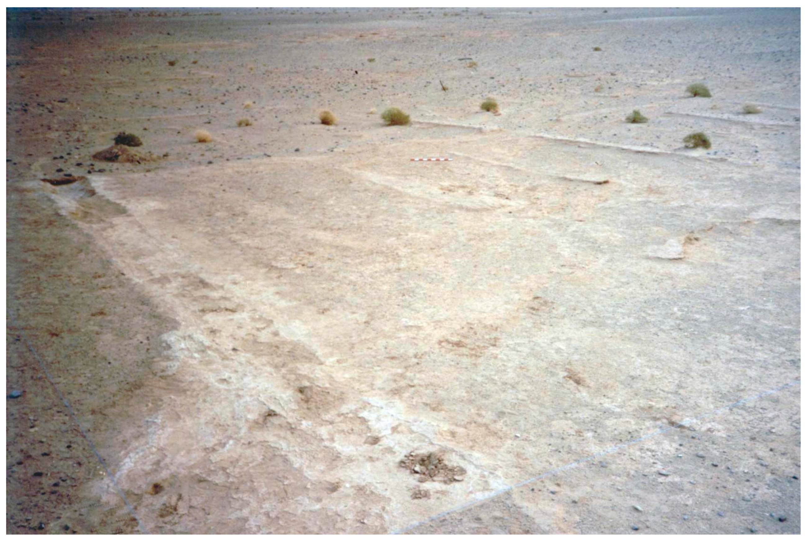 Land 15 00069 g012 Land 15 00069 g012