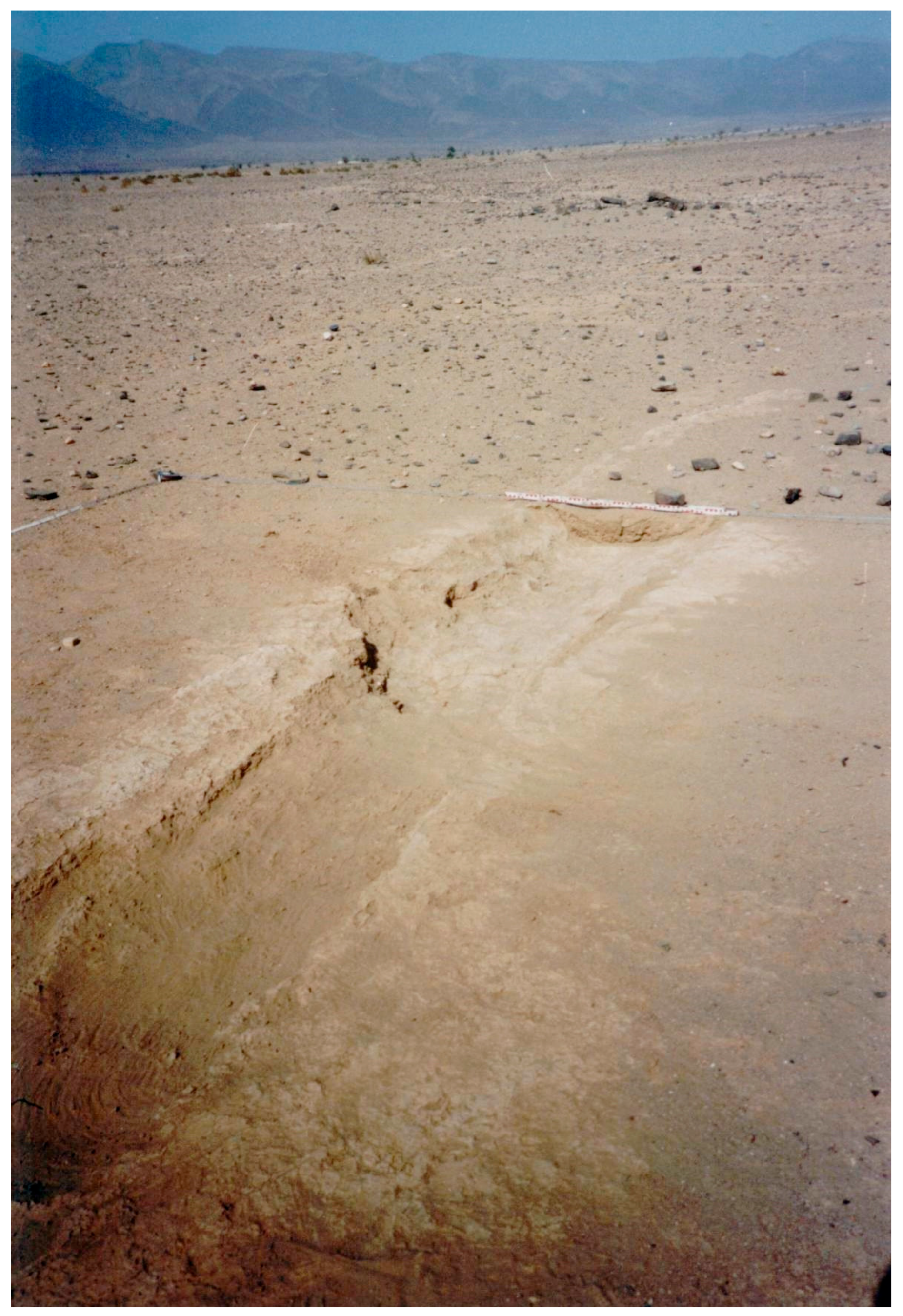 Land 15 00069 g013 Land 15 00069 g013