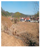 Land 15 00080 i006 Land 15 00080 i006