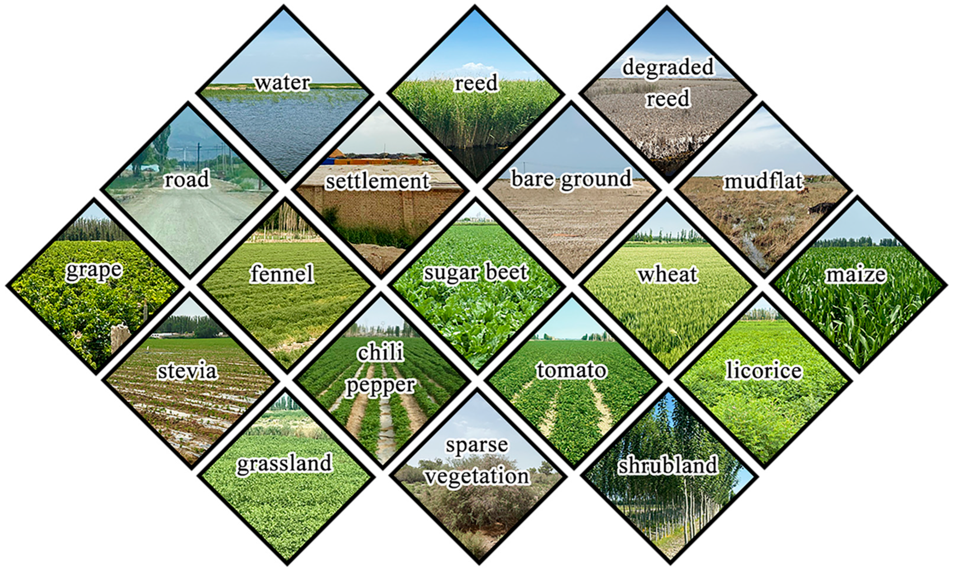 Land 15 00092 g002 Land 15 00092 g002