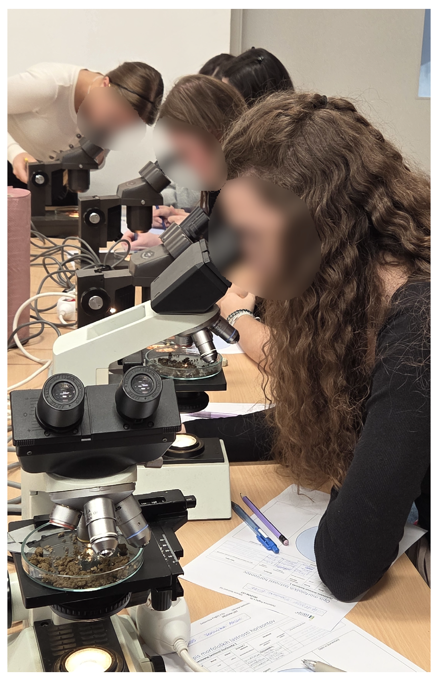 Land 15 00206 g002 Land 15 00206 g002