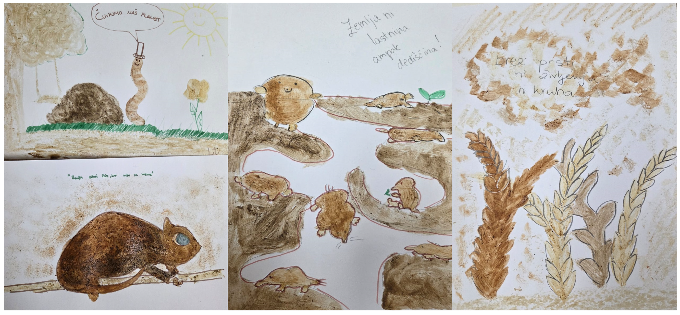 Land 15 00206 g004 Land 15 00206 g004