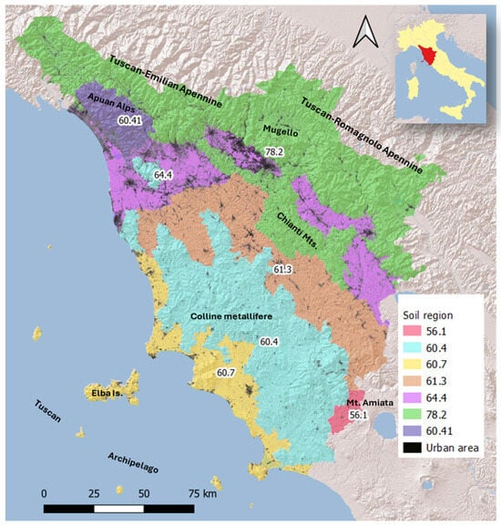 Land 15 00417 g001
