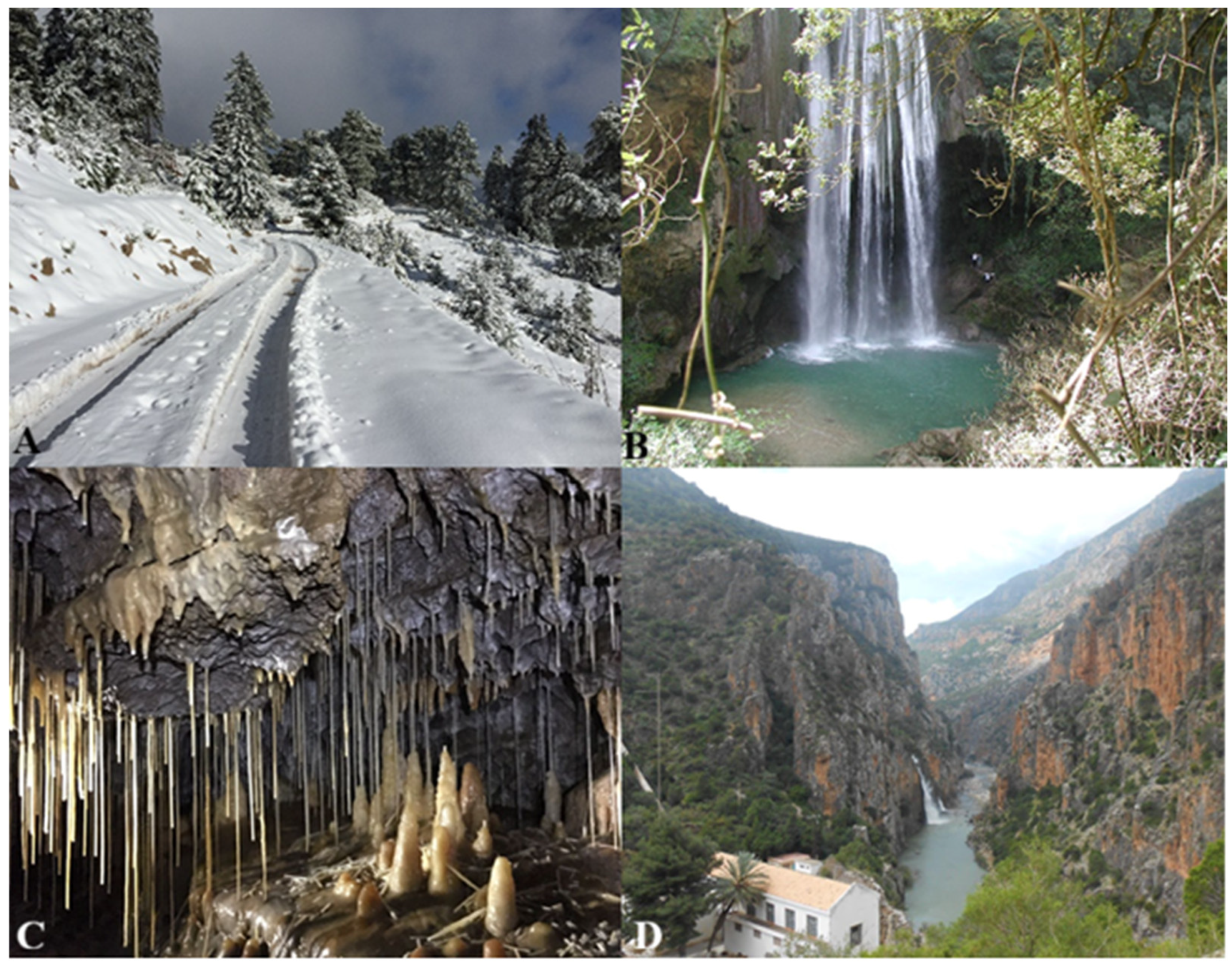 Land 15 00575 g002 Land 15 00575 g002