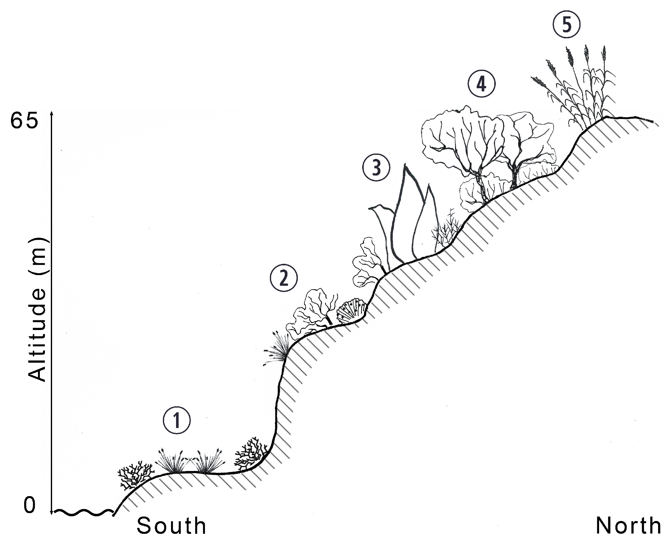 Land 15 00598 g005