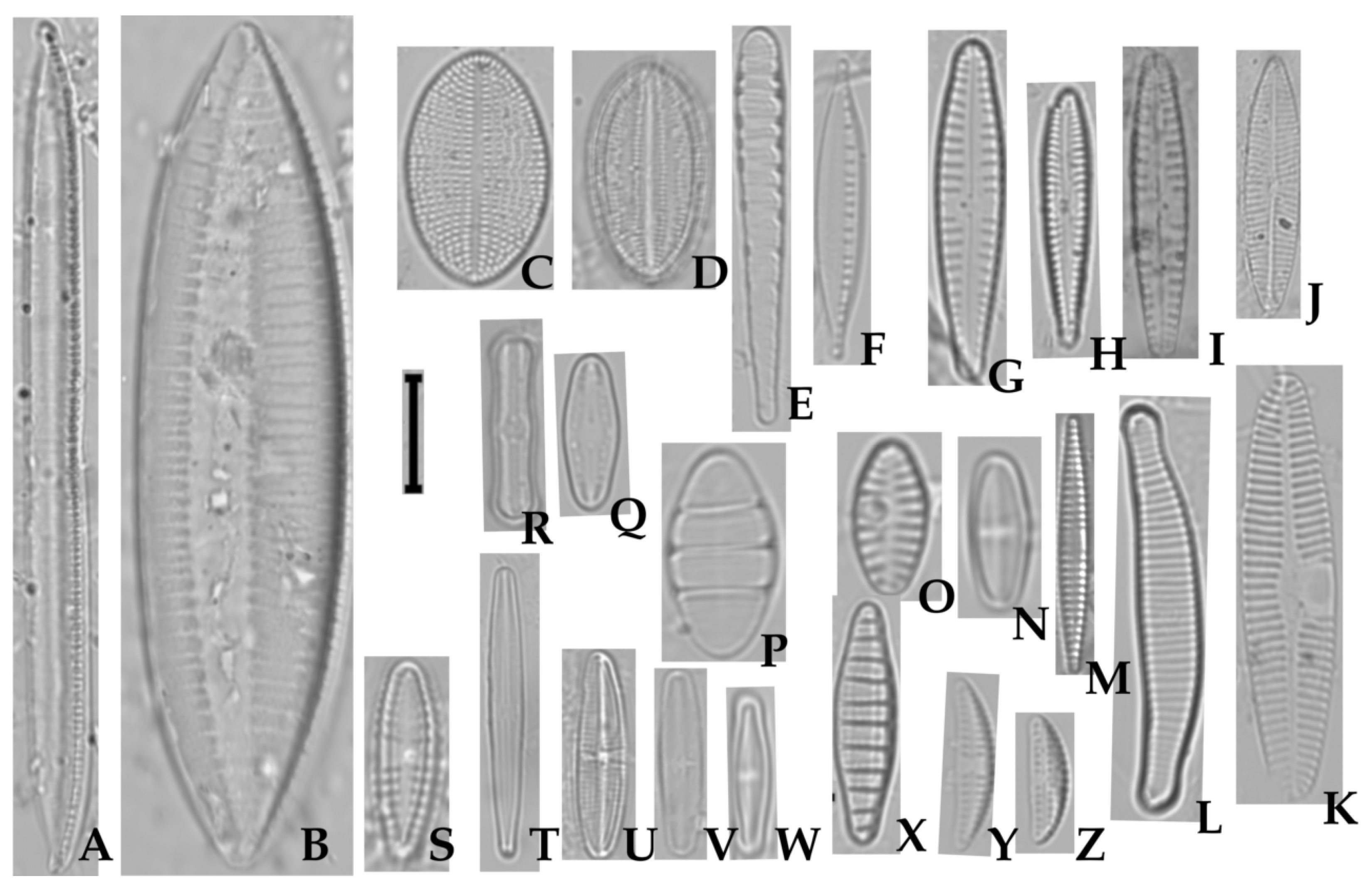 Land 15 01441 g005 Land 15 01441 g005