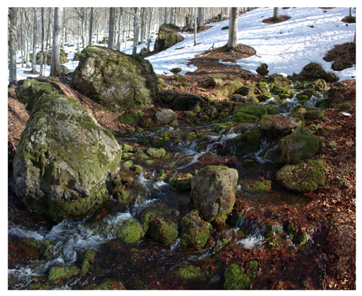 Land 15 01441 i002 Land 15 01441 i002